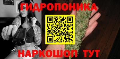 хмурый Кимры