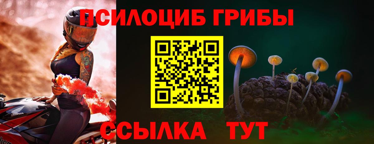 Зеленодольск  Галлюциногенные грибы Magic Shrooms  Галлюциногенные грибы GOLDEN TEACHER  Вход с VPN 